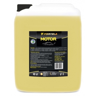 Fortela MOTOR - очиститель двигателя (5 л)